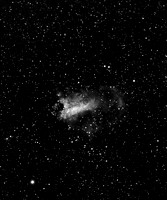 M17 Omega or Swan Nebula